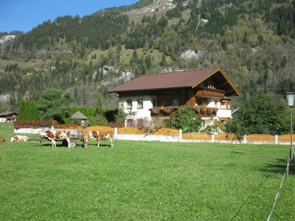 Haus Schoenegger Dorfgastein Extérieur photo